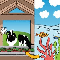 Ridurre le emissioni enteriche: come sottoporre le nostre mucche a una nuova dieta può aiutare a combattere il cambiamento climatico