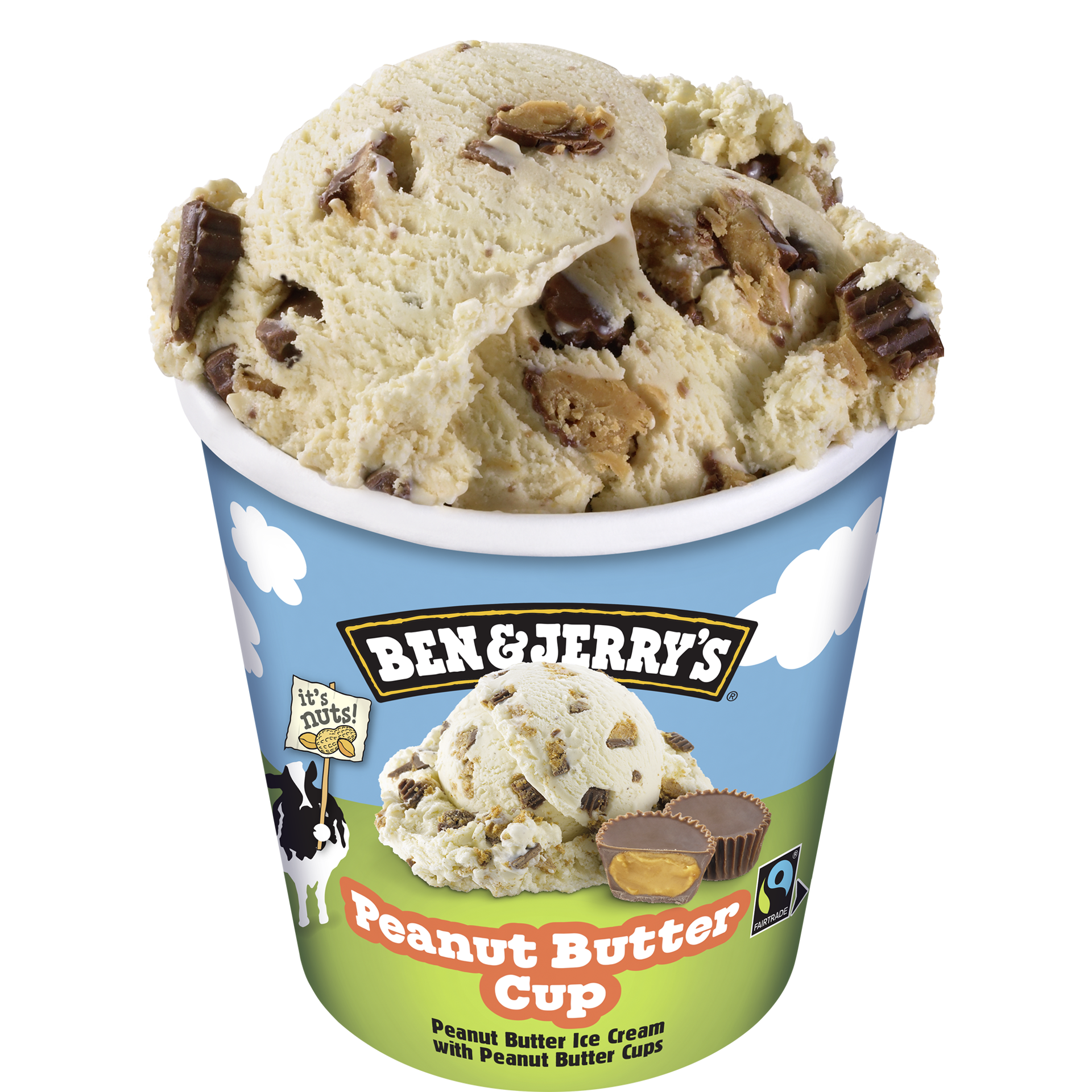 Peanut Butter Cup Original Ice Cream Barattoli di gelato